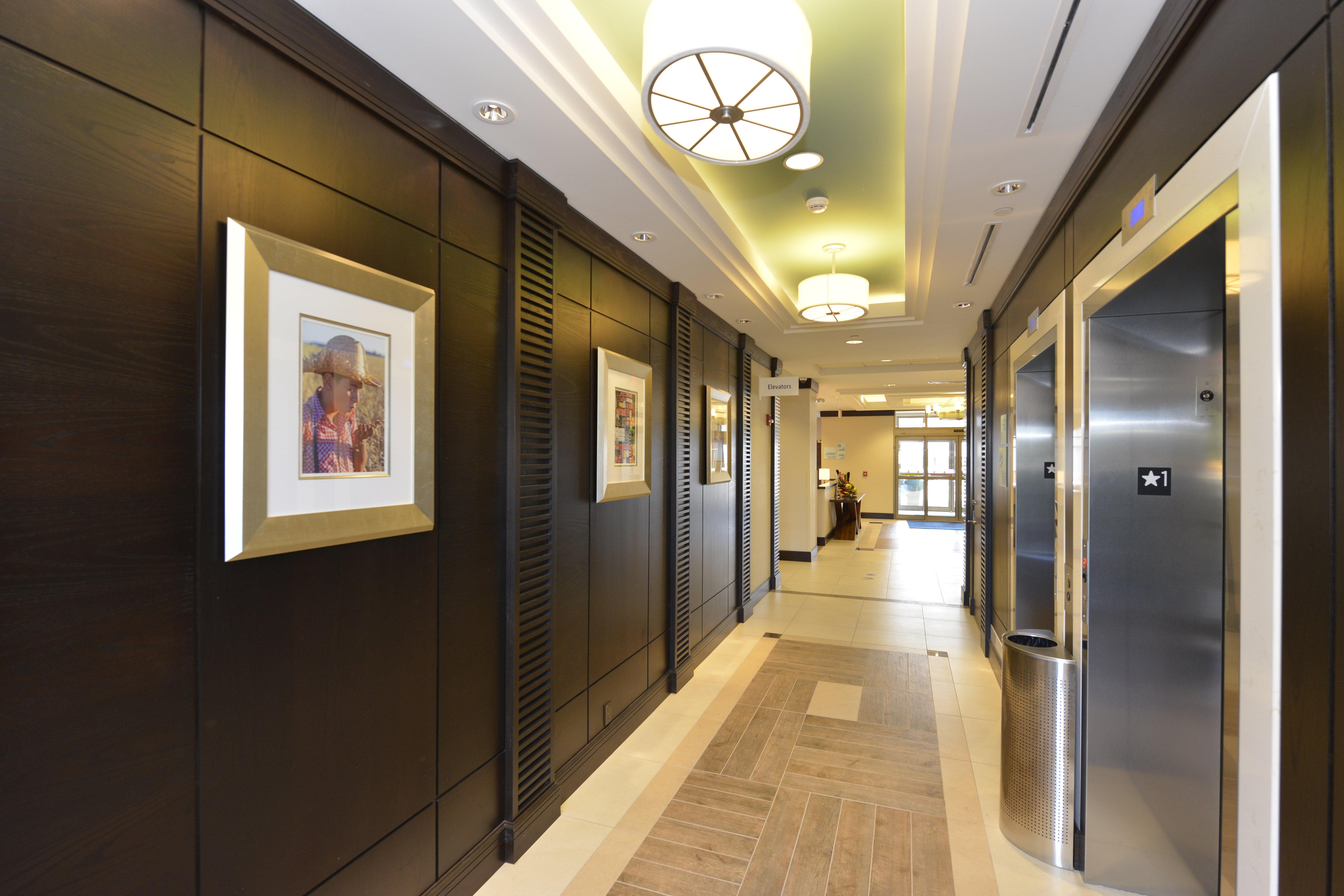 Holiday Inn Express Hotel & Suites Waterloo - St. Jacobs Area By Ihg Exterior foto